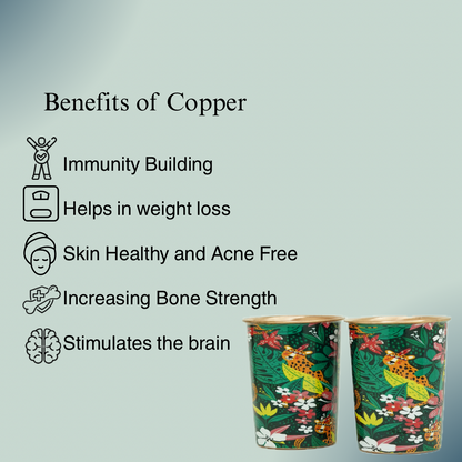 Copper Bedside Bottle with 2 Glass Set (Green Multicolor)